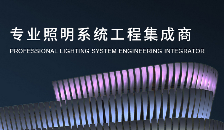 厦门市大光照明工程有限公司_惠州企业网站建设案例